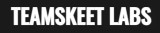 TeamSkeet Labs logo