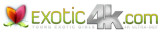 Exotic4K logo