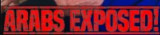 Arabs Exposed logo