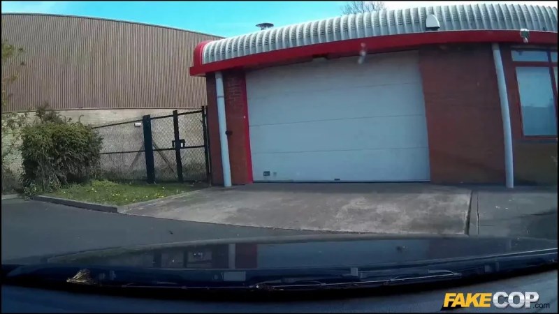 FakeCop Adreena Winters J video
