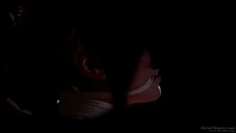 Shades Of Kink #02 Scene 3 J 비디오