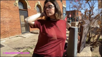 BralessForever 2020.11.06 Dani Dani Sheer Shirt J video