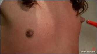 WiredPussy 13174 Bobbi Felony Ten J βίντεο