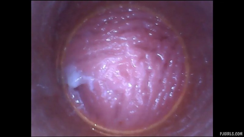 PJgirls Silvie DeLuxe   RAW Endoscopic Video   2015 08 23l J видео
