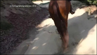 Sofiemariexxx 21.07.31.bareback.nude.riding J video