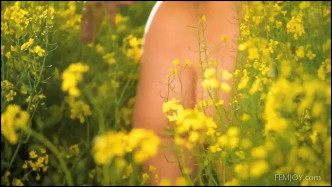 FemJoy E086 KYLIE MichaelSandberg Flores J vídeo