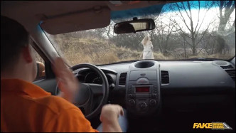 Road Rage Followed By Rough Fuck 1080 video