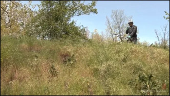 PublicDisgrace 37786 KlaraGold J video