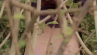 FemJoy E614 ARIEL FemJoy StoneGarden J videó