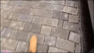 PJgirls Lexi Dona   Sexy Lexi   2017 02 13h J videó