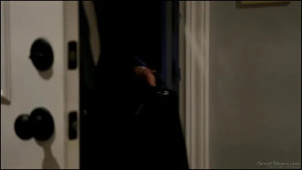 The Exhibitionist Scene 4 J video