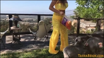 TashaReign TRMotherOfPigsWEB J video